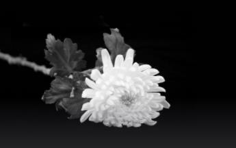 北京钢结构设计公司杰栋沉痛悼念江泽民同志!